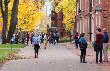 【企业定制版】个性化的DDOS网页端